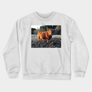 Scottish Highland Cattle Cow 2381 Crewneck Sweatshirt